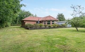 "Wyatt" - 30km from the sea in Western Jutland 3