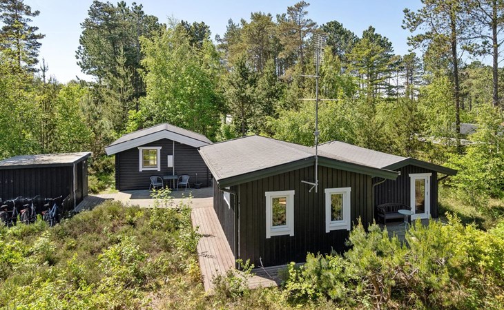 "Ascen" - 300 meter van de zee in NO Jutland 1