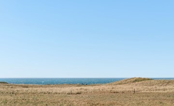 „Henryette“ – 200 m vom Meer entfernt in Nordwestjütland 3