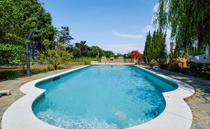 Pet friendly apartment in Furiani 1