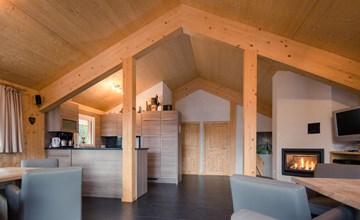 FH #27 mit IR-Sauna und SB Innen 2