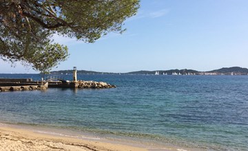 Das kleine Rouveau 2