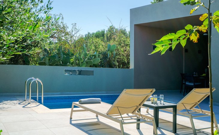 Villa Anthos - Luxuriöse 1-BDR Villa, ''Beheizter'' Pool 1