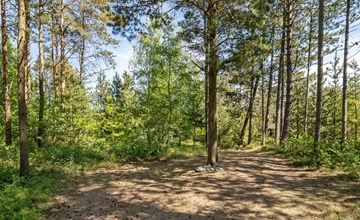 "Ascen" - 300 meter van de zee in NO Jutland 3