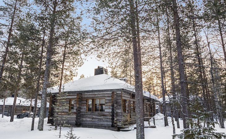 Ylläsparit als. bosbes 1