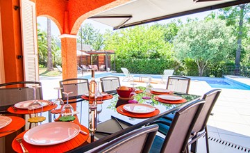 Micocoulier (BEF135) 3