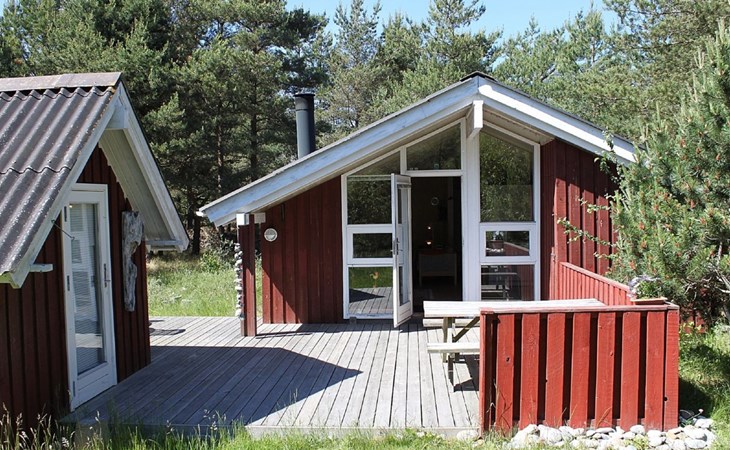 „Elizaveta“ – 400 m vom Meer entfernt in Nordostjütland 1