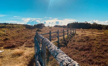 "Blakke" - 200m from the sea in NE Jutland 3