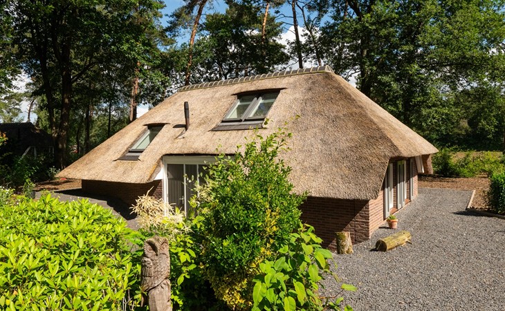 Sprielderbosch 38 Luxuriöses Ferienhaus auf einem Ferienpark auf den Veluwen 1