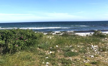 "Tuulikki" - 100m from the sea 3