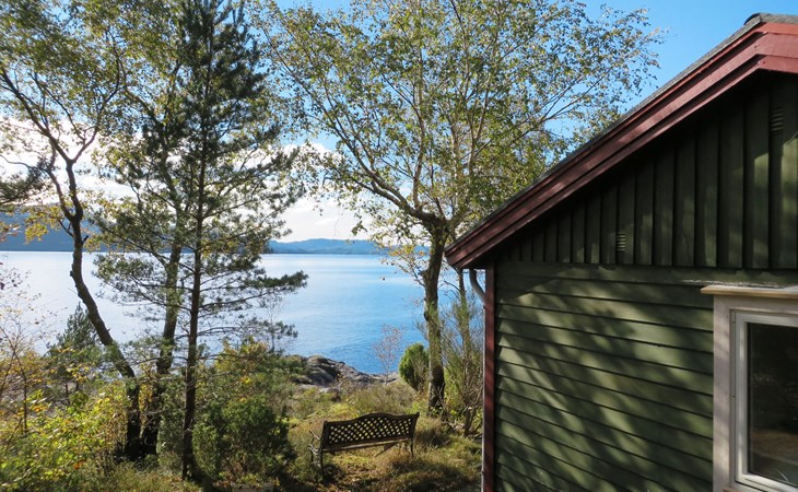 Herzwoche (FJH662) 1