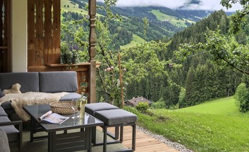 Chalet Edelweiss (WIL001) 2