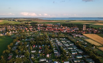 Chalet 007 - Goedereede - Kokmeeuw 3