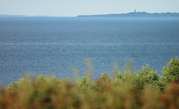 „Silka“ – 250 m vom Meer entfernt in Südostjütland 3