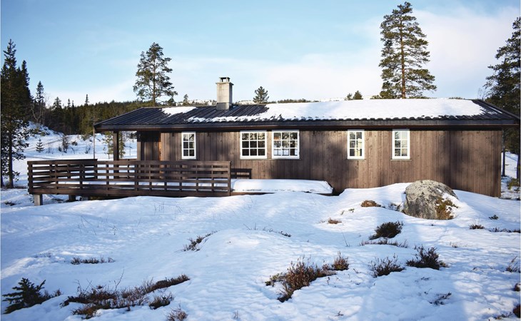 Stunning home in Eggedal with kitchen 1