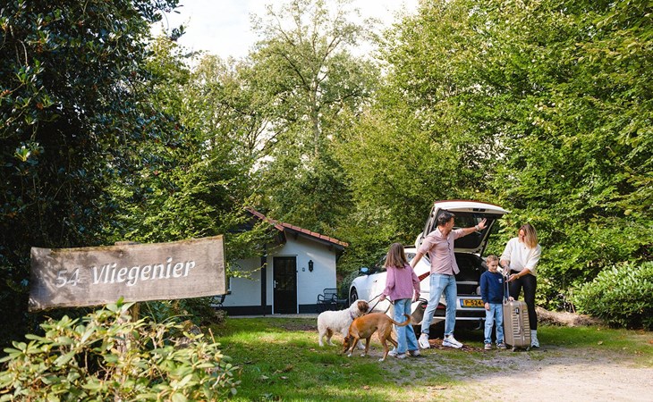 Komfort Bungalow mit Whirlpool | 2-4 Pers. 1