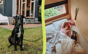 Klapkot - Pets allowed 2