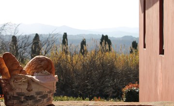 Rustikale Wohnung mit Swimmingpool in den Hügeln der Toskana 3