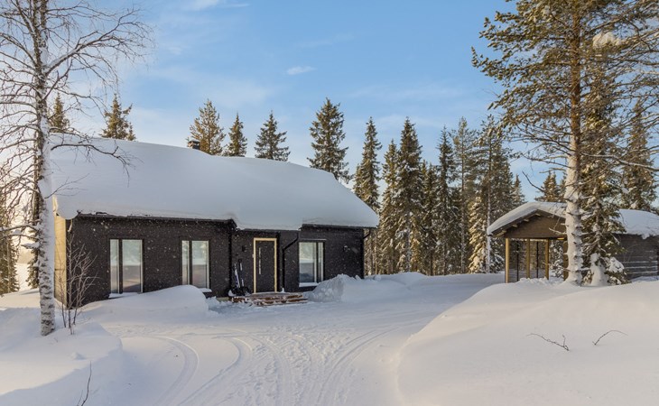 Villa q 1