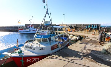 "Roir" - 250m from the sea in Bornholm 3