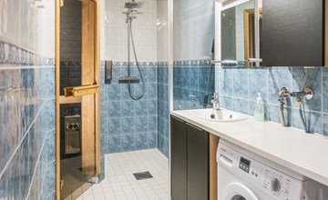Vuokatti villas susi 2