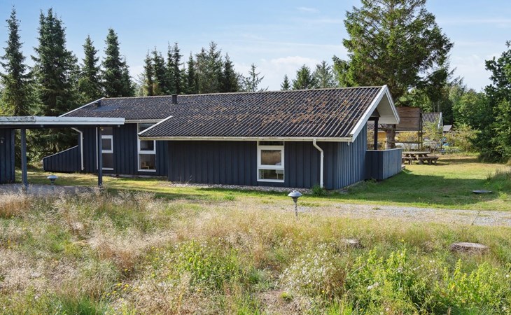 "Antoinette" - 500m from the sea in NE Jutland 1