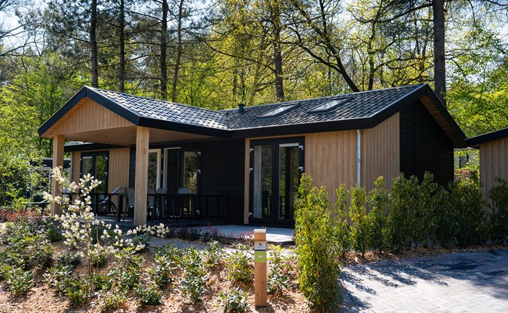 Premium Lodge | 4 Personen 1