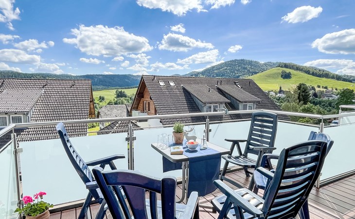 Schwarzwaldblick VI 1