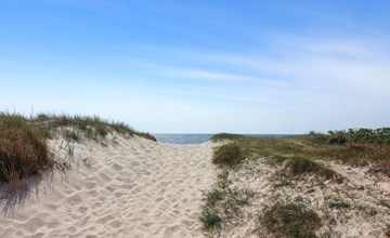 "Gaja" - 1km from the sea in Bornholm 3