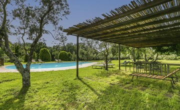 The Pigeon (PIL102) 2