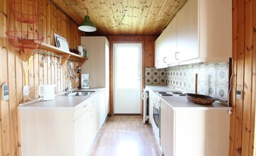 "Alka" -  from the sea in Western Jutland 3