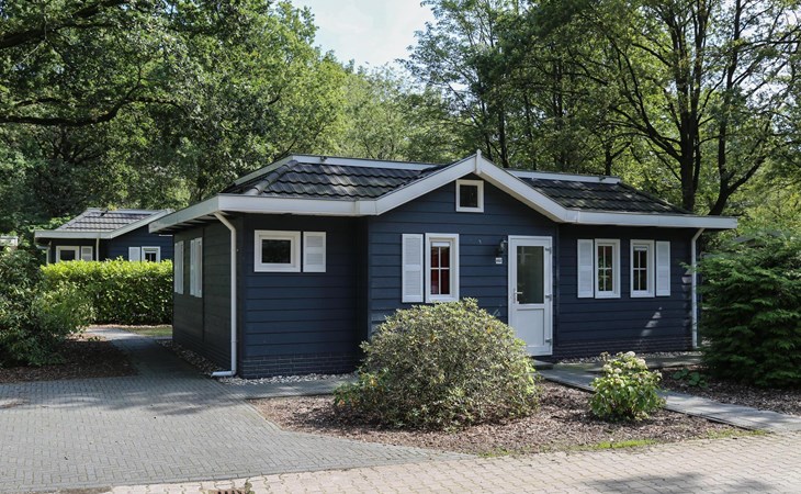 Dotterbloem Chalet | 6 personen 1