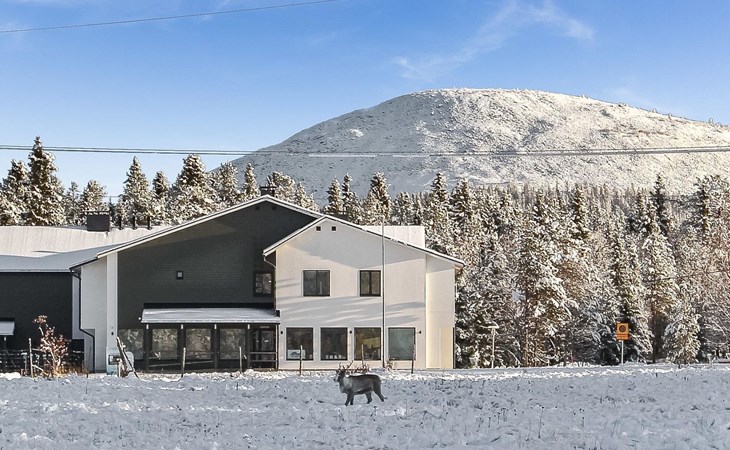 Lapland happiness / schists 201 1