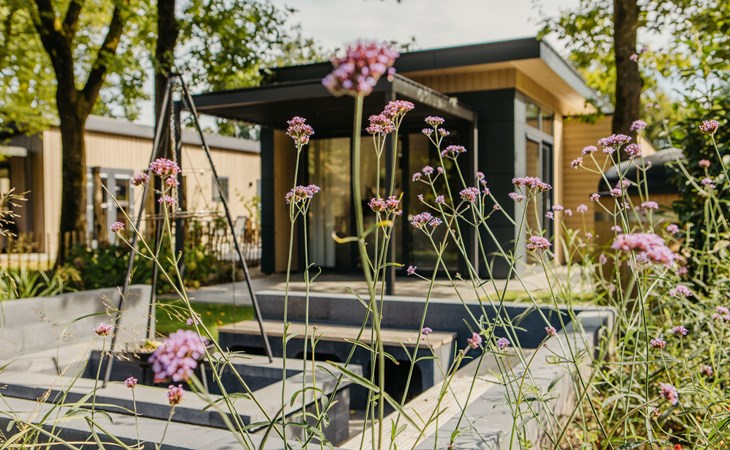 Cannenburch Deluxe met Hottub | 4 personen 1