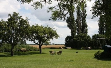 Kranich in Ummanz-Lüßvitz 2