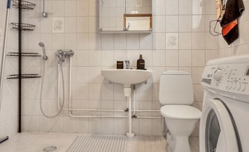 Koivulahti reindeer 3