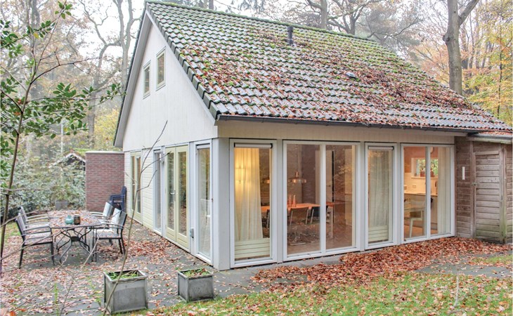 Bergeend 1