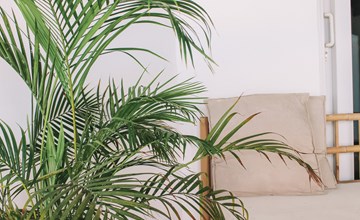 beleef Curaçao appartementen - 4 2