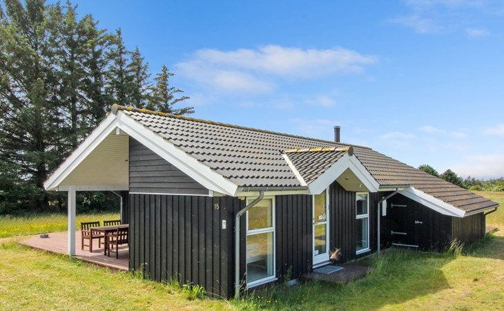 "Bengt" - 1km from the sea in NW Jutland 1