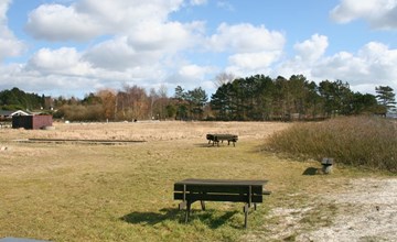 "Vian" - 200 meter van de zee in Djursland en Mols 2
