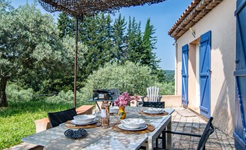 The Olive Trees (SAE110) 3