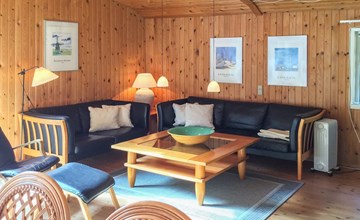 "Cassius" - 600m from the sea in NW Jutland 2