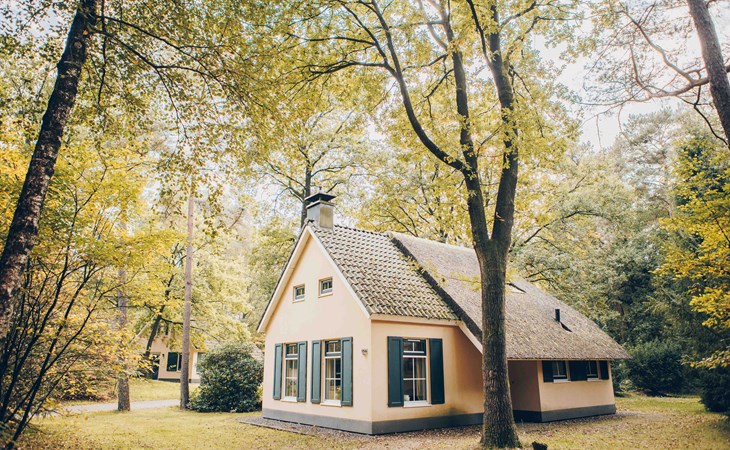 Esdorp Bungalow mit Alkoven | 4+2 Personen 1