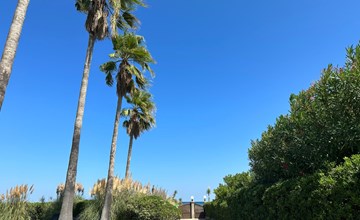 Les Chênes (MAA200) 3