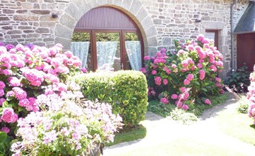 Eine kleine Oase der Ruhe am Meer 2