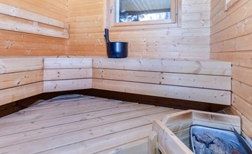 I moved the honey palm 2