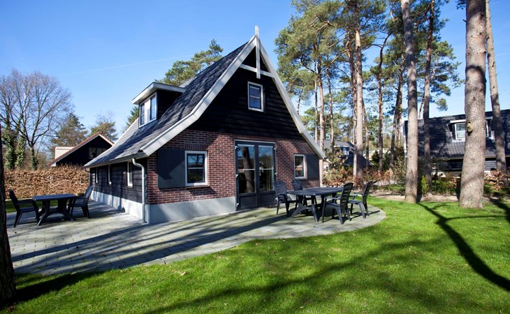 Villa Veluwe Plus 8 1