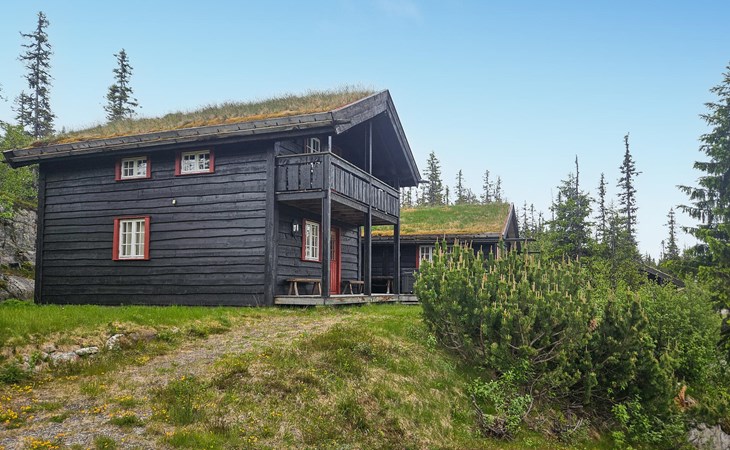 Amazing home in Eggedal with sauna 1