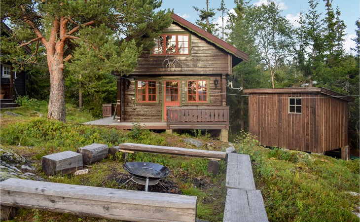 3 bedroom stunning home in Rjukan 1