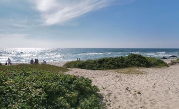 "Joske" - 250 meter van de zee in Bornholm 3